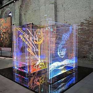 Illuminated Display Cases